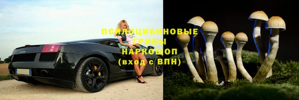соль ск Нефтекумск