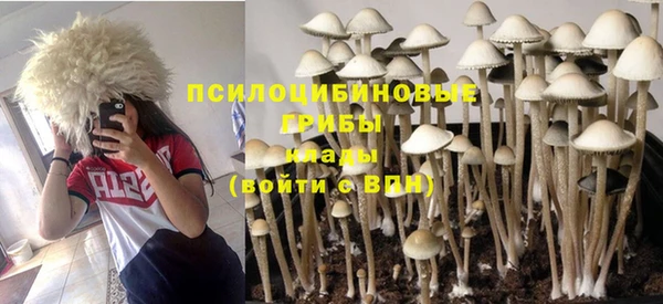 ешки Нея
