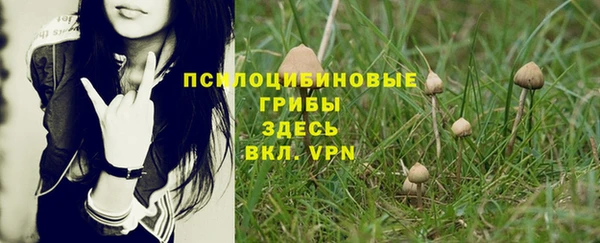ешки Нея