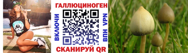 продажа наркотиков  Тырныауз  Псилоцибиновые грибы Magic Shrooms 
